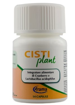 CISTIPLANT 14CPS 9G