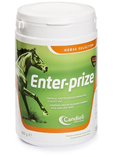 ENTER-PRIZE 450G