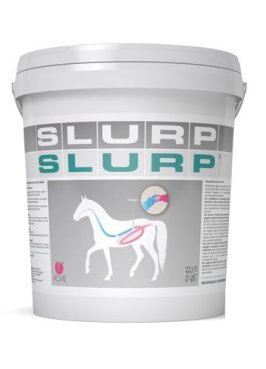 SLURP POLVERE 10KG