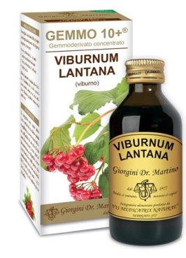 VIBURNO LIQ ANALCOLICO 100ML