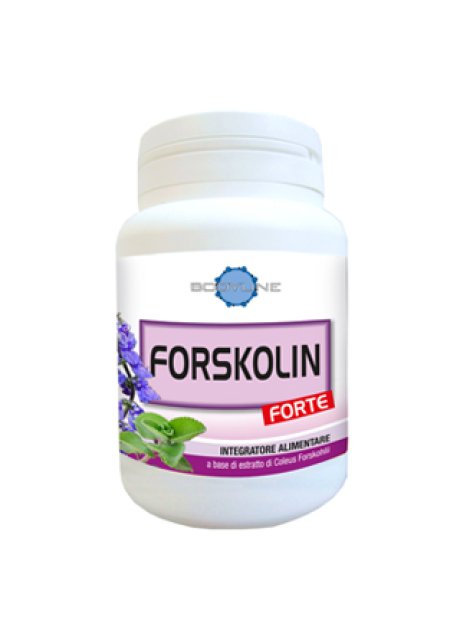 FORSKOLIN FORTE 60CPS