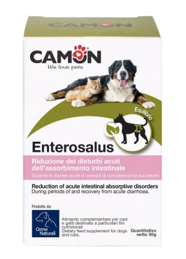 ENTEROSALUS 30CPR 1G