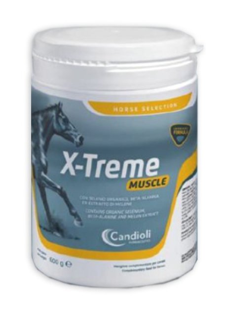 X-TREME MUSCLE 600G