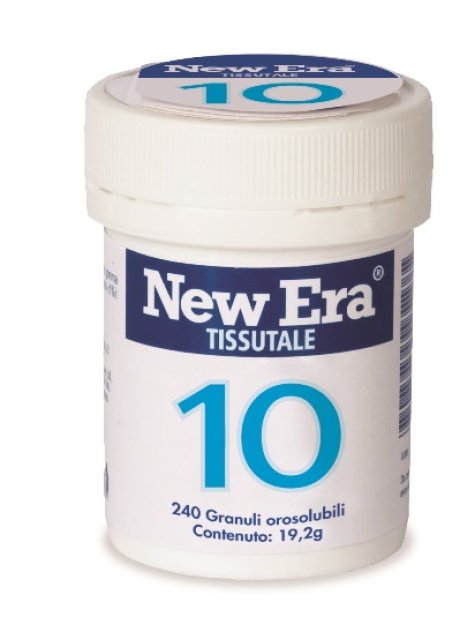 NEWERA 10 240GR