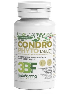 CONDROPHYTO 60CPR 1G