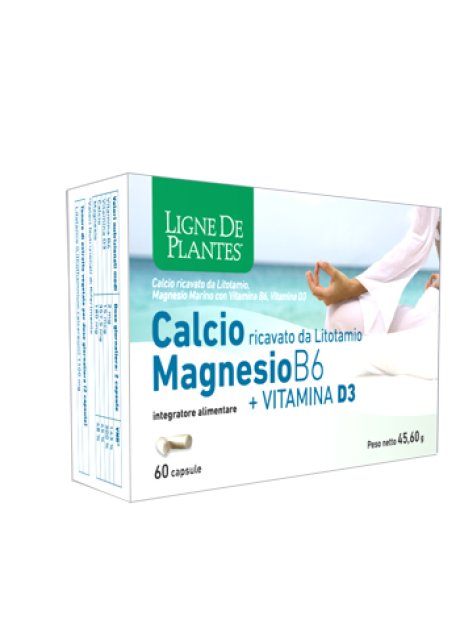 CALCIO MAGNESIO B6+VITD3 60CPS