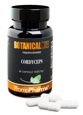 CORDYCEPS BOTANICAL 60CPS