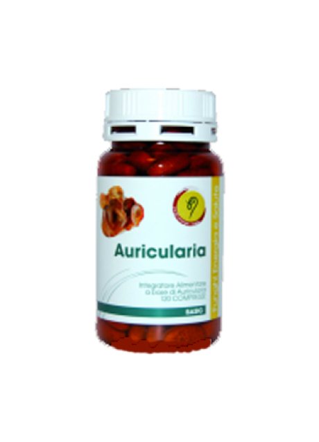 AURICULARIA LINEA BASIC 120CPR