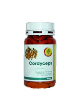 CORDYCEPS LINEA BASIC 120CPR