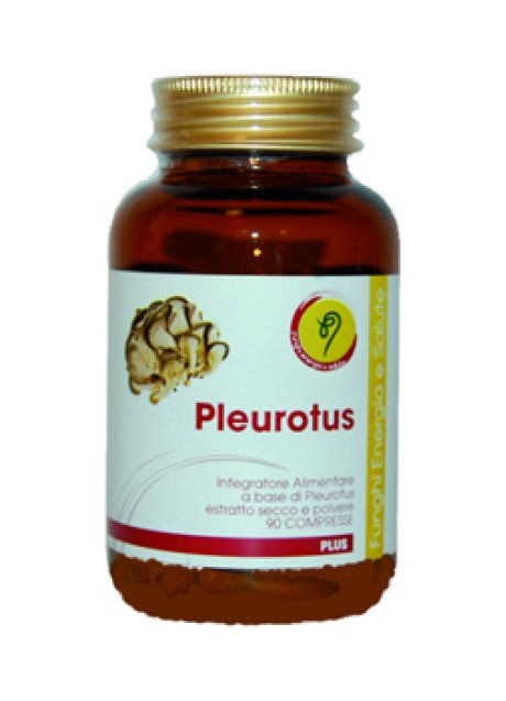 PLEUROTUS LINEA PLUS 90CPR