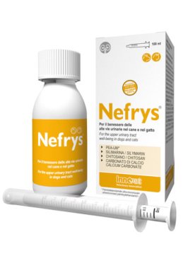 NEFRYS NEW 100 100ML C/SIR DOS