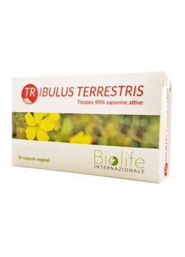 TRIBULUS TERRESTRIS 60CPS