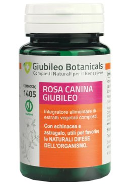 ROSA CANINA GIUBILEO 50CPS