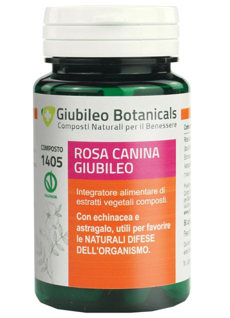 ROSA CANINA GIUBILEO 50CPS