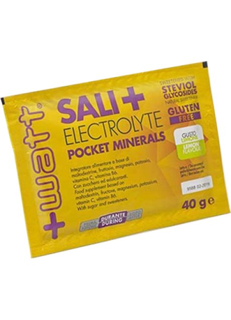 SALI+ LIMONE MINERAL POCKET40G