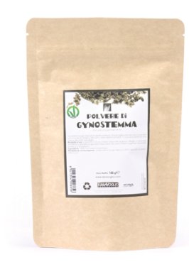 GYNOSTEMMA POLVERE 100G