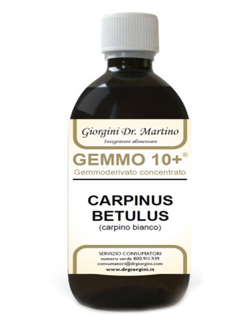 CARPINO BI 500ML ANALCO GEM10+