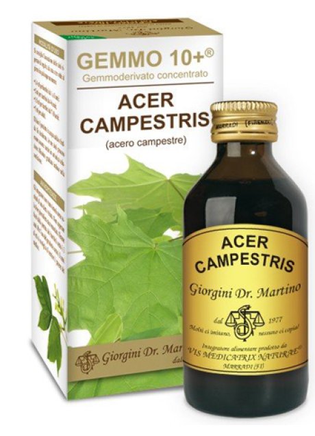 ACERO CAMP 100ML ANALCO GEM10+