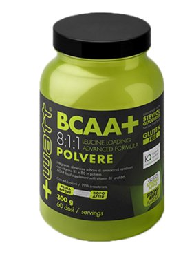 BCAA+ 811 POLVERE APPLE 300G