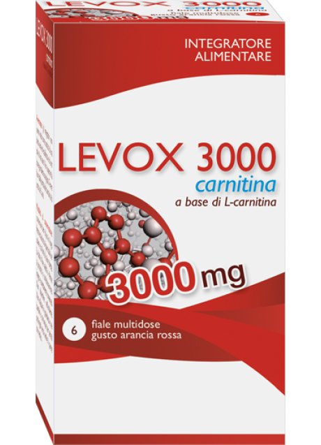 LEVOX 3000 CARNITINA 6FL