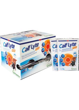 CALF LYTE PLUS POLVERE 24BUST