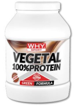 100% VEGETAL PROTEIN CACAO750G
