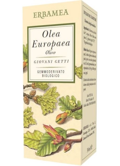 OLEA EUROPEA OLIVO BIO 50ML