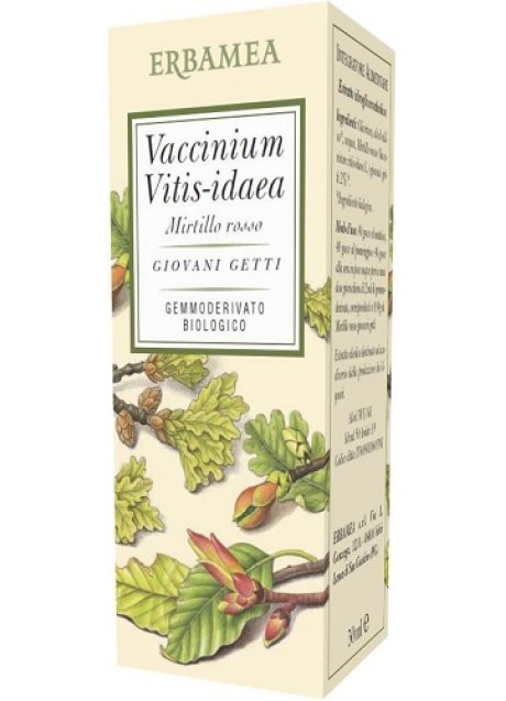 VACCINIUM VITIS IDAEA BIO 50ML