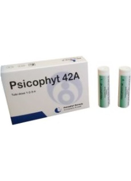 PSICOPHYT REMEDY 42A 4TUB 1,2G