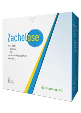 ZACHELASE 20 BUSTINE