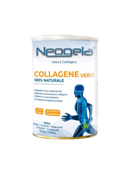 NEOGELA POLVERE 400GR ZETA 92