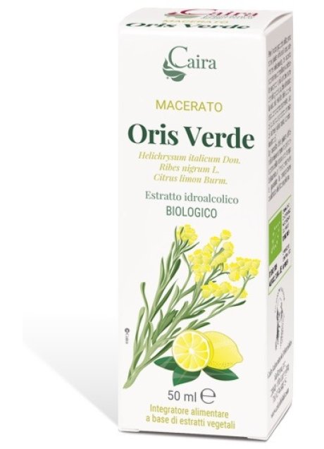 ORIS VERDE MACERATO CAIRA GTT