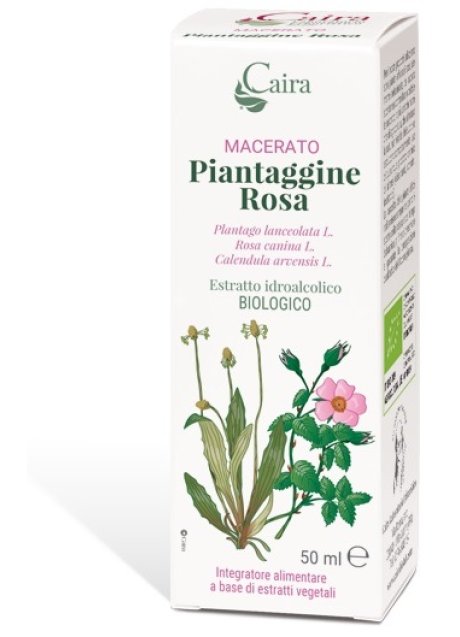 PIANTAGGINE RA MACERATO CAIRA