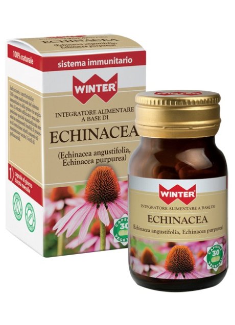 WINTER ECHINACEA 30CPS VEG