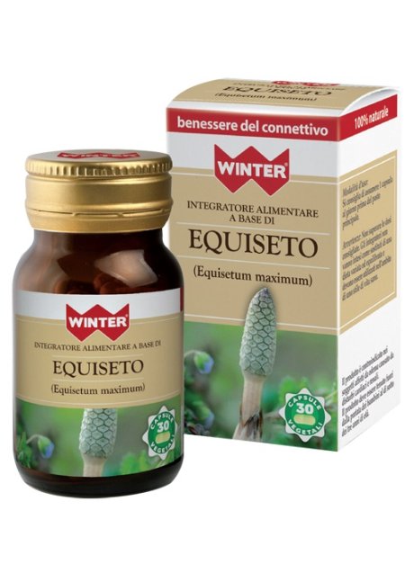 WINTER EQUISETO 30CPS VEG