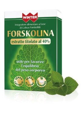 WINTER FORSKOLINA 15CPR