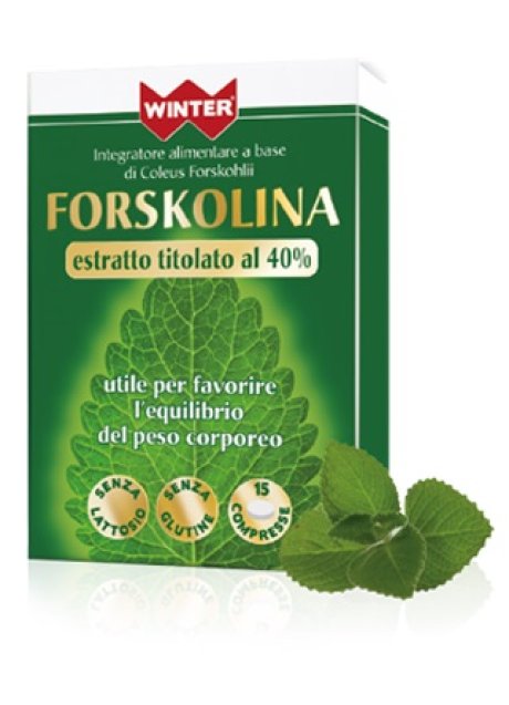 WINTER FORSKOLINA 15CPR