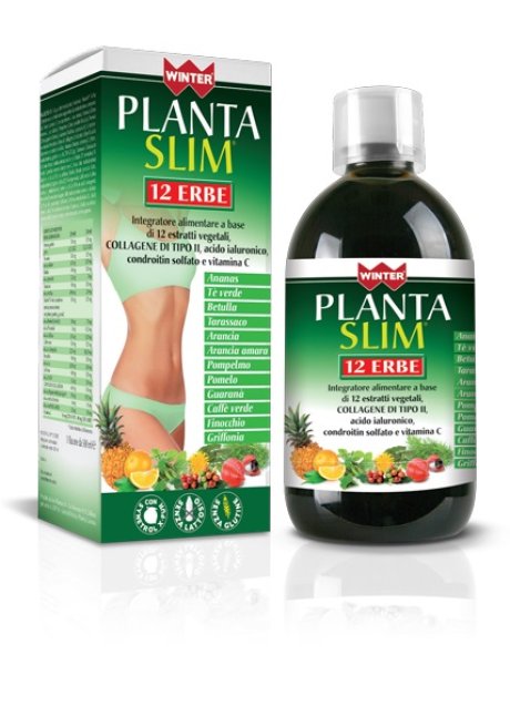 WINTER PLANTA SLIM 12ERBE 500ML