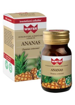 WINTER ANANAS BIO 30CPS VEG