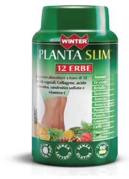 WINTER PLANTA SLIM 12ERBE60CPS