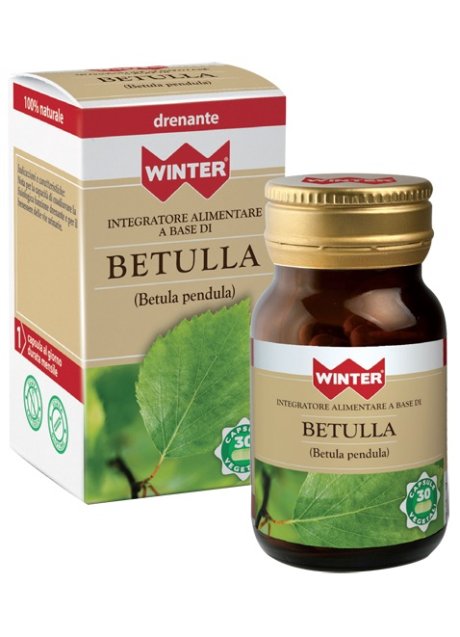 WINTER BETULLA 30CPS VEG