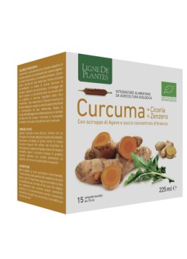 CURCUMA CICORIA ZENZ 15AMPOLLE