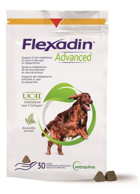 FLEXADIN ADVANCED 30TAV MASTIC