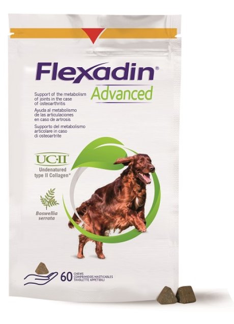 FLEXADIN ADVANCED 60TAV MASTIC