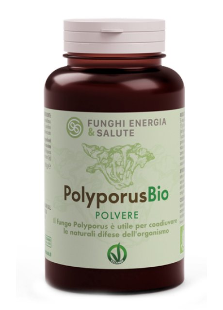 POLYPORUS POLVERE BIO 100G