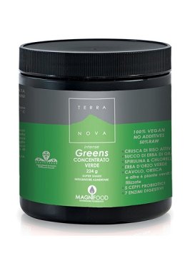 TERRANOVA SUPER SHAKE INT GREE