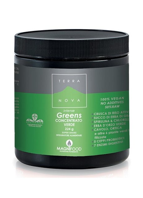 TERRANOVA SUPER SHAKE INT GREE