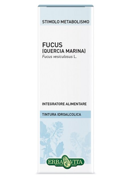 FUCUS TALLO SOL IAL 50ML