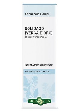 SOLIDAGO TINT IAL 50ML EBV