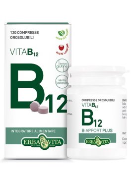 B-APPORT VIT B12 120CPR ORO EBV